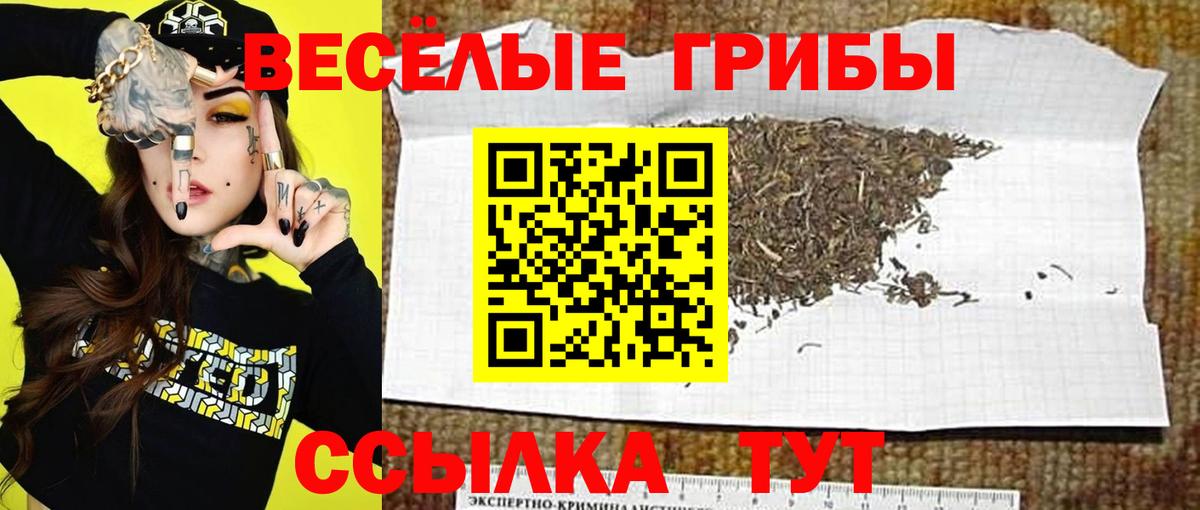 Галлюциногенные грибы Magic Shrooms  Вход с VPN  Кохма 